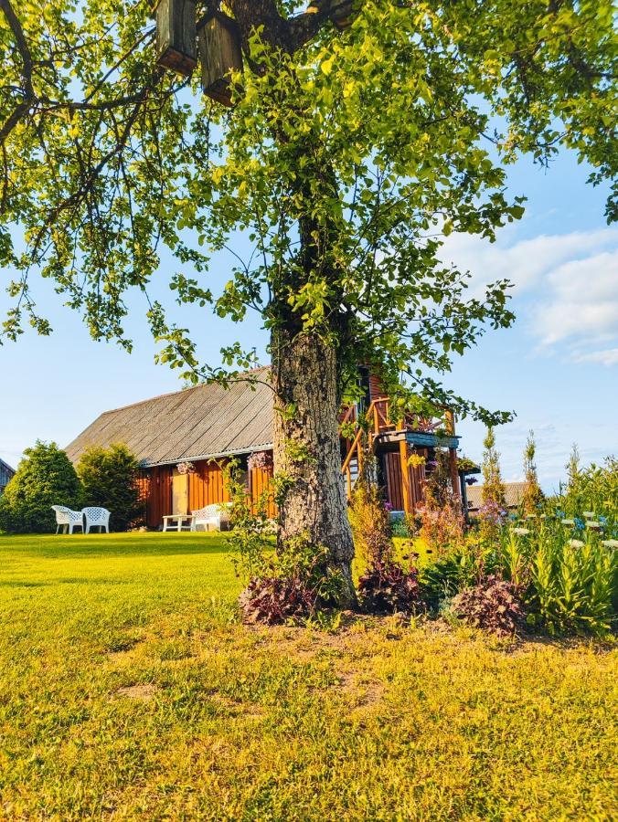 Zalioji Villa Padustis Exterior photo