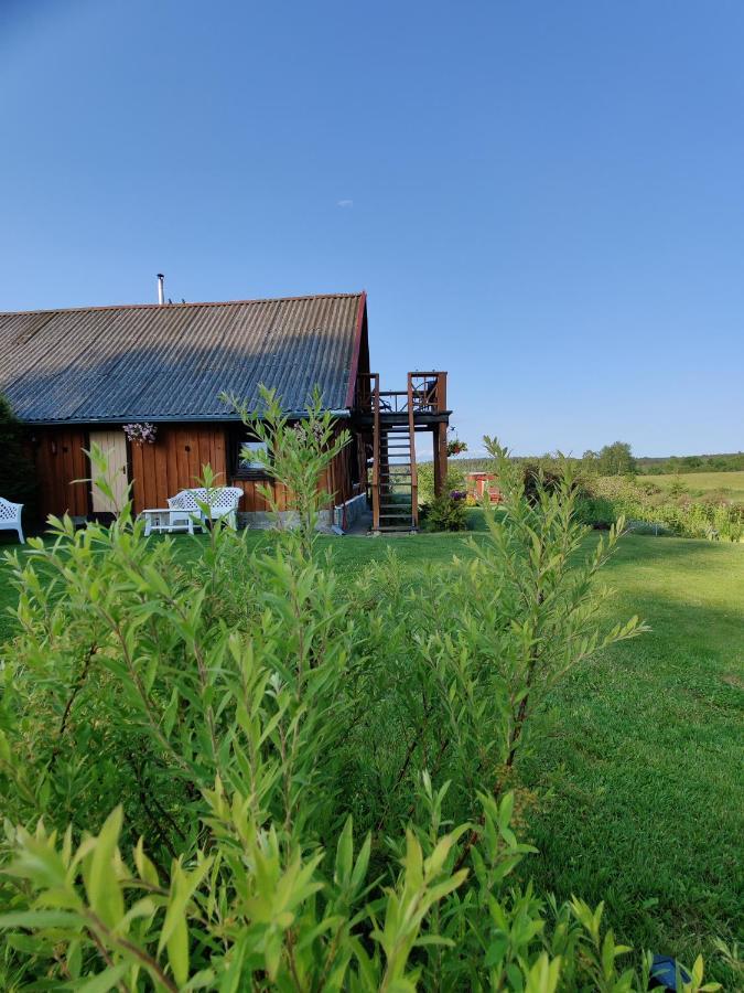 Zalioji Villa Padustis Exterior photo